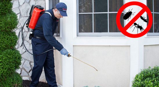 Çamardı Böcek İlaçlama böcek ilaçlama ve haşere kontrolü — ilaclama-tr.com
